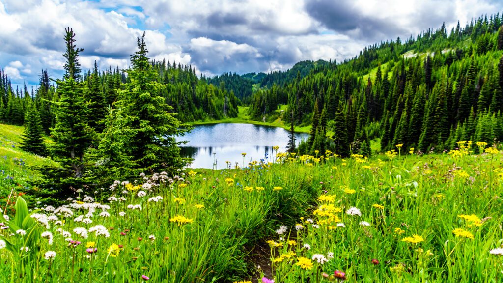 Peaceful mountain lake